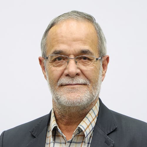 ولى سلجوقيان